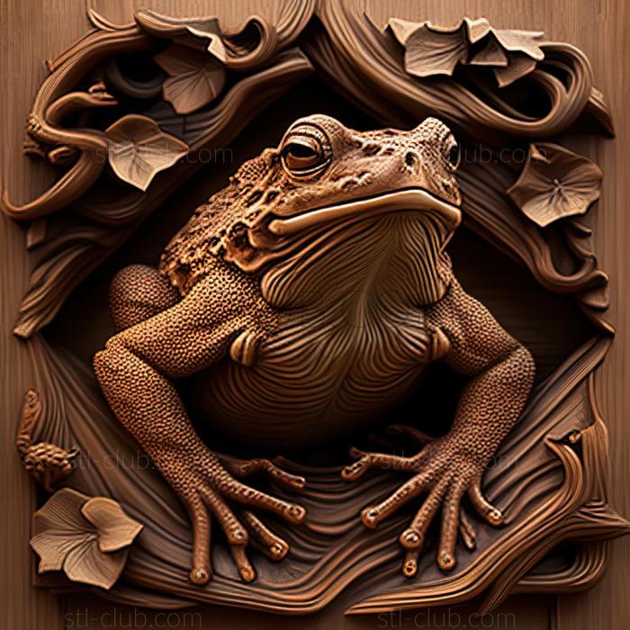 st toad